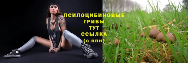 гидра Абдулино