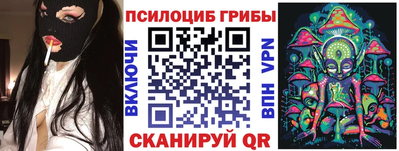 Галлюциногенные грибы MAGIC MUSHROOMS  где купить наркотик  Усмань 