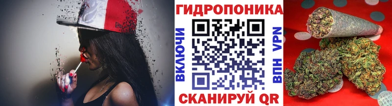 KRAKEN сайт  Усмань  Марихуана тримм 